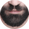 beard transplant