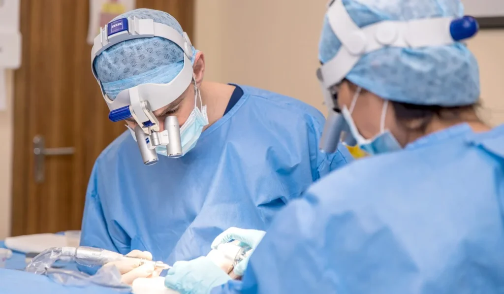 hair transplant